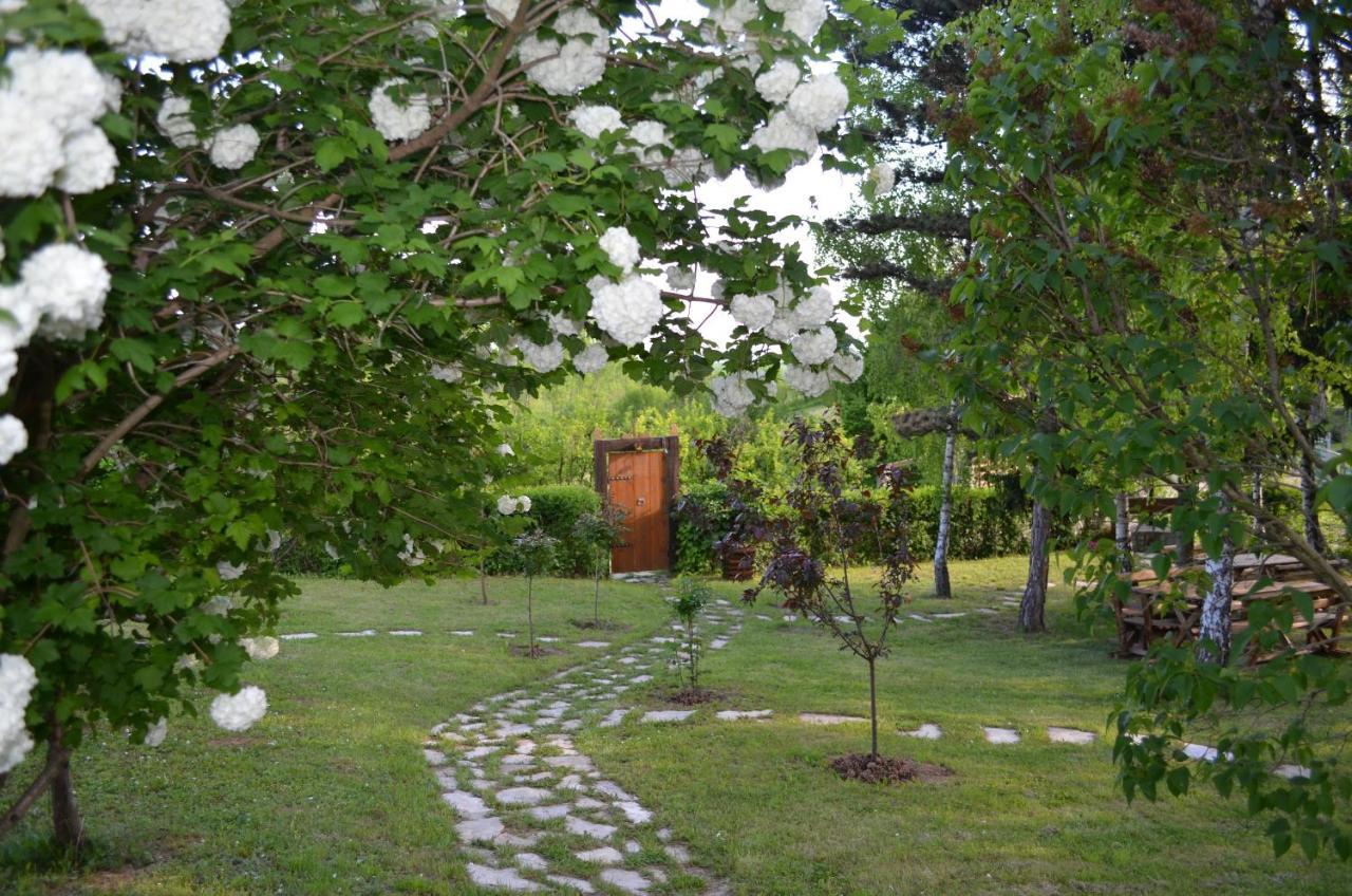Vila Davidovic-Fruska Gora Mandelos Ngoại thất bức ảnh