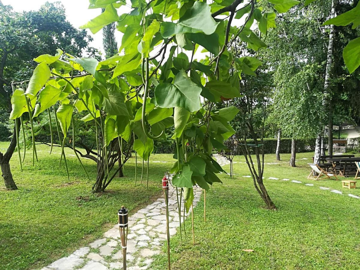 Vila Davidovic-Fruska Gora Mandelos Ngoại thất bức ảnh