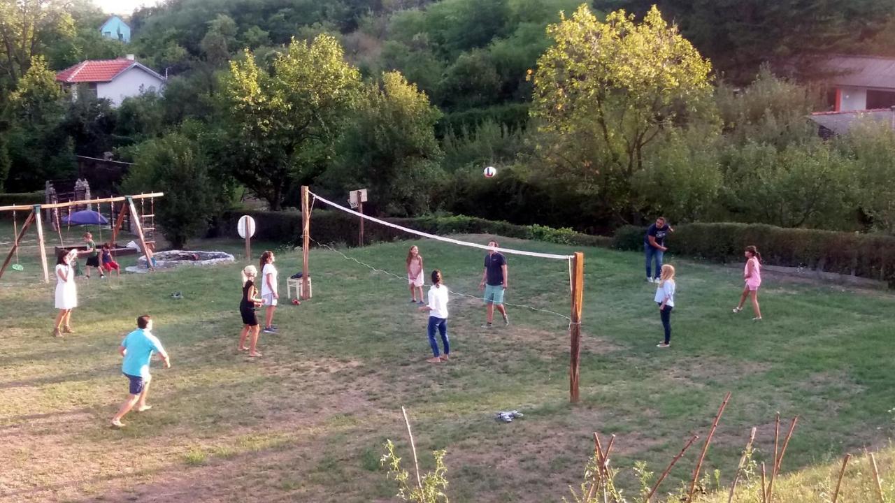 Vila Davidovic-Fruska Gora Mandelos Ngoại thất bức ảnh