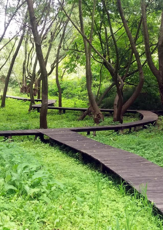 Vila Davidovic-Fruska Gora Mandelos Ngoại thất bức ảnh