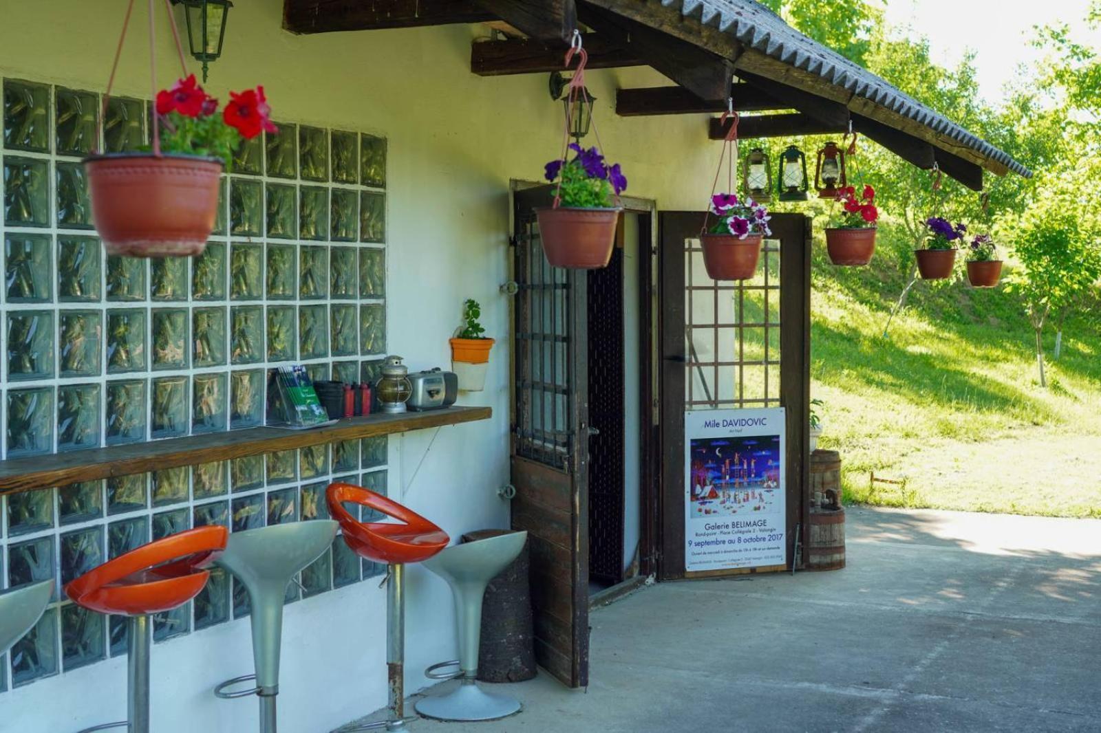 Vila Davidovic-Fruska Gora Mandelos Ngoại thất bức ảnh