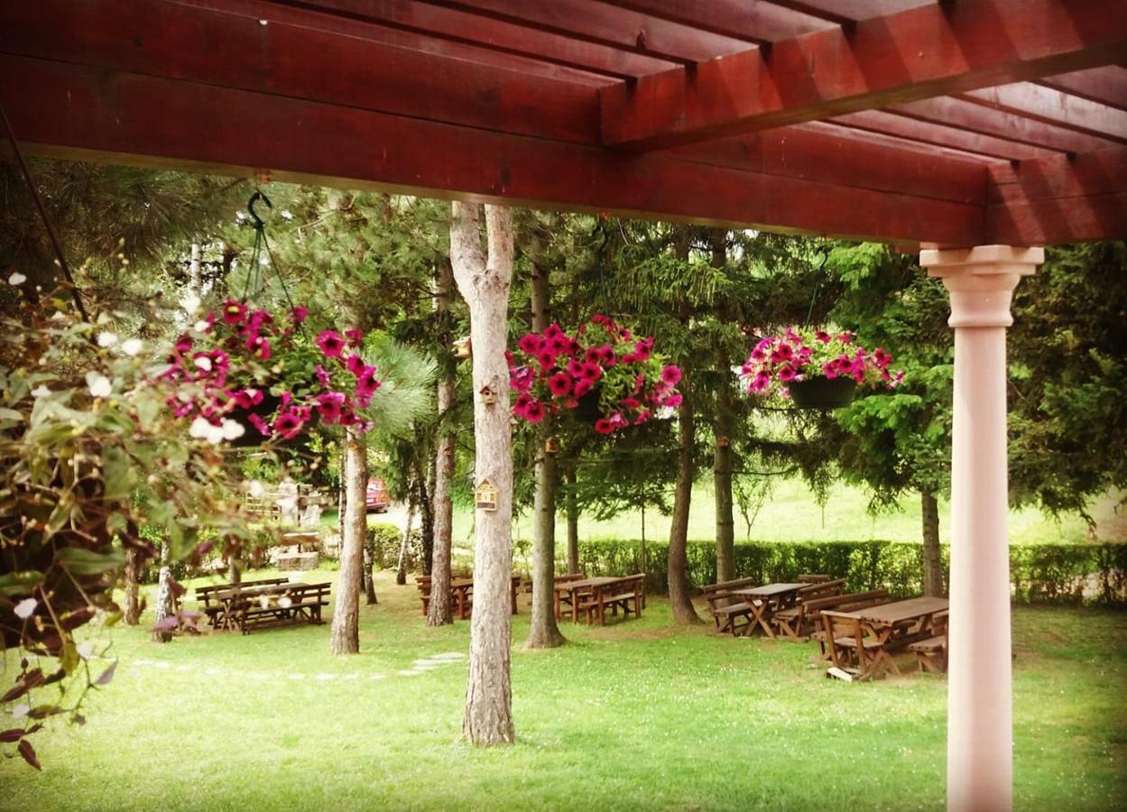 Vila Davidovic-Fruska Gora Mandelos Ngoại thất bức ảnh