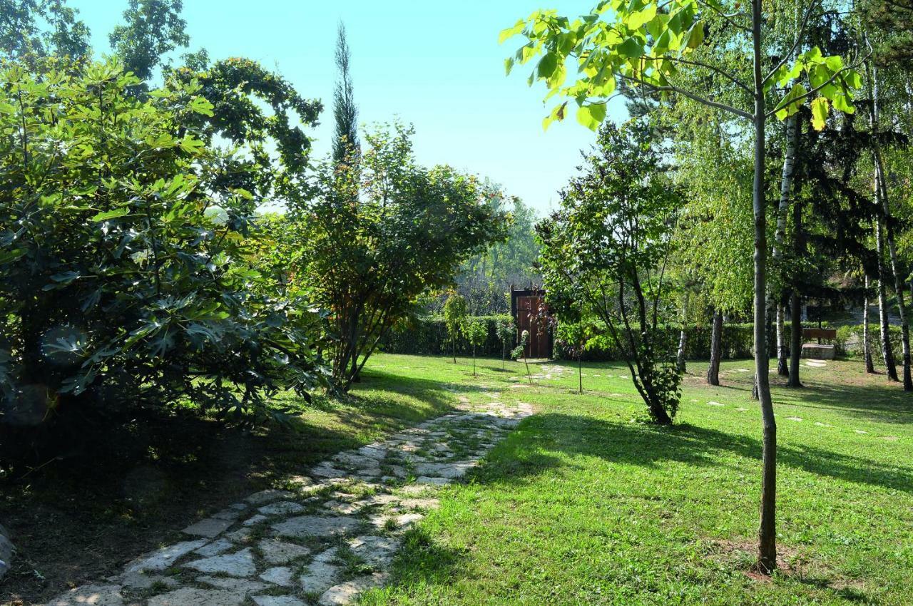 Vila Davidovic-Fruska Gora Mandelos Ngoại thất bức ảnh