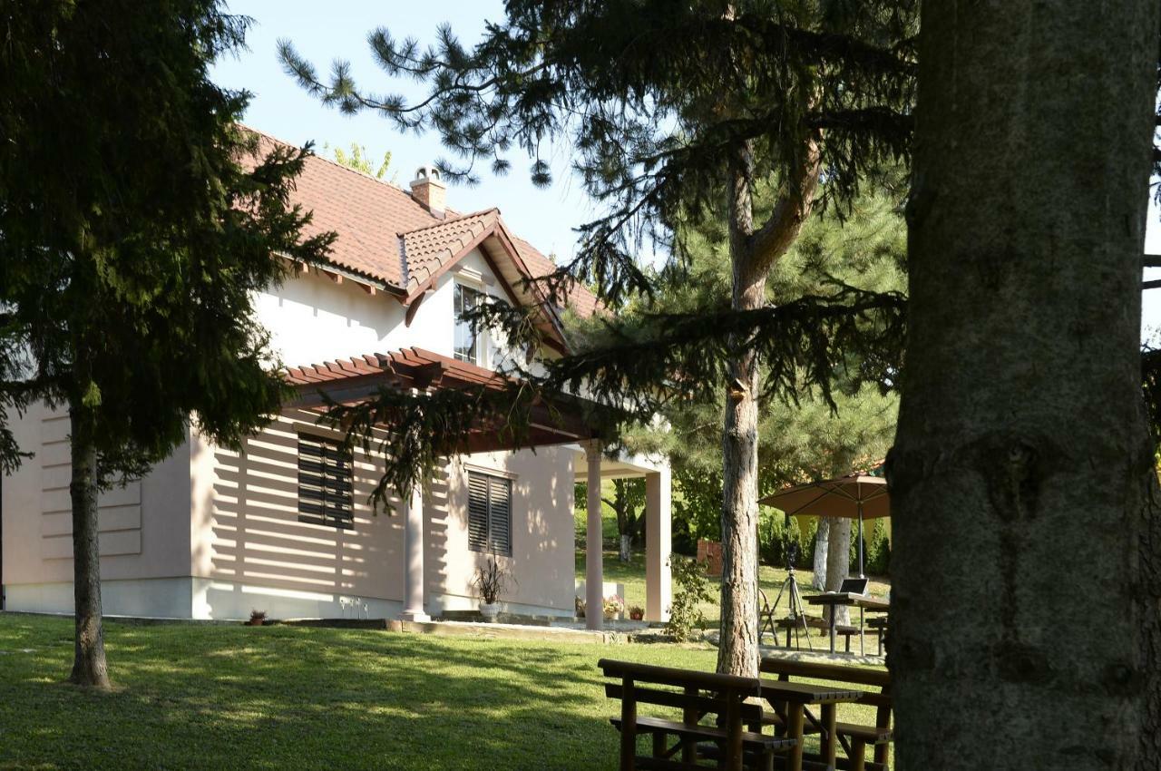 Vila Davidovic-Fruska Gora Mandelos Ngoại thất bức ảnh