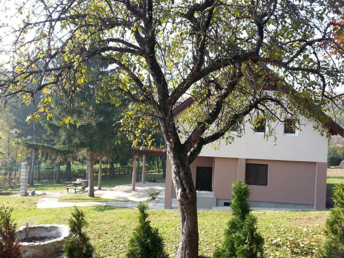 Vila Davidovic-Fruska Gora Mandelos Ngoại thất bức ảnh